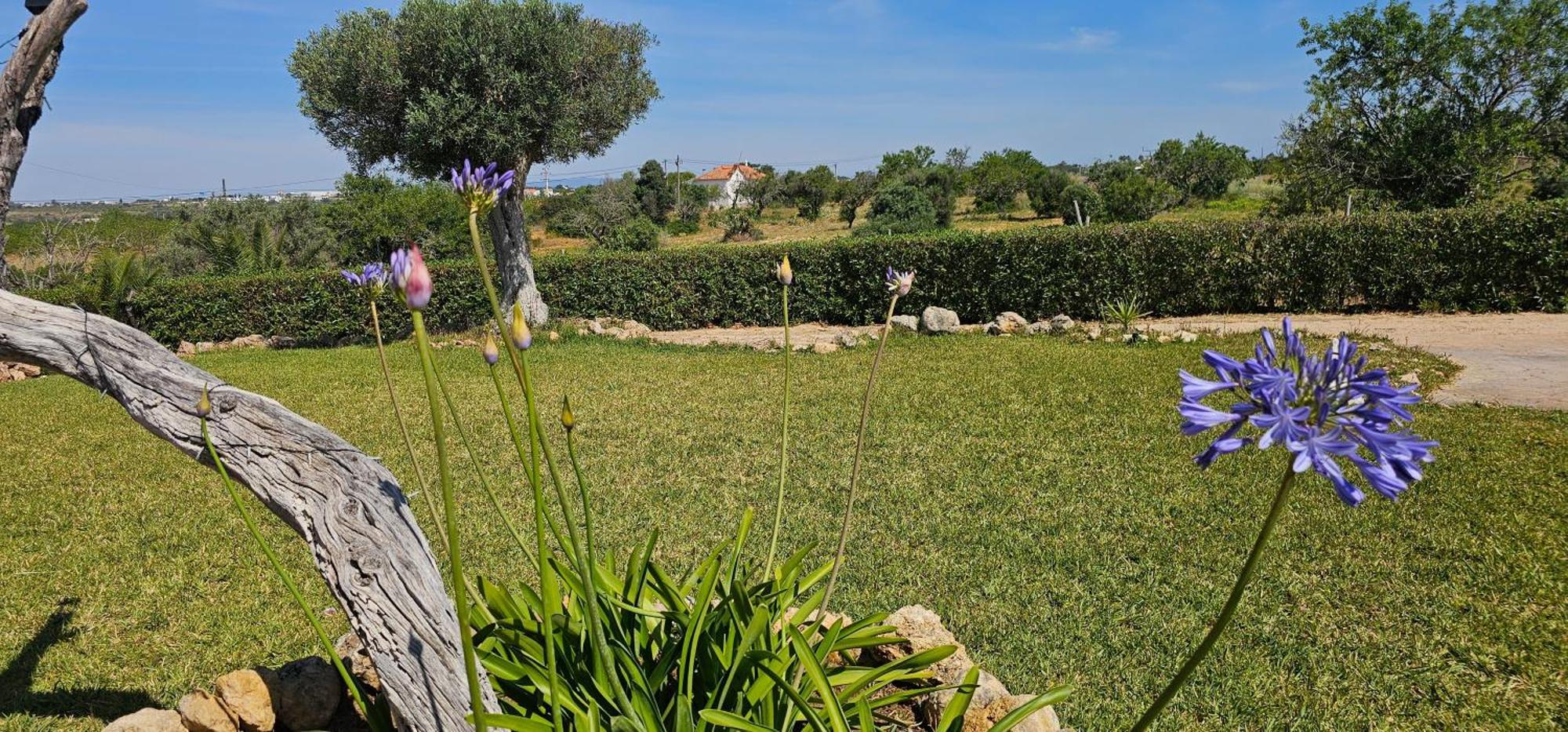 Quinta Do Lagar Villa อัลบูเฟรา ภายนอก รูปภาพ
